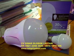 Lampu LED Bulb JUMBO 30 Watt = 240 Watt